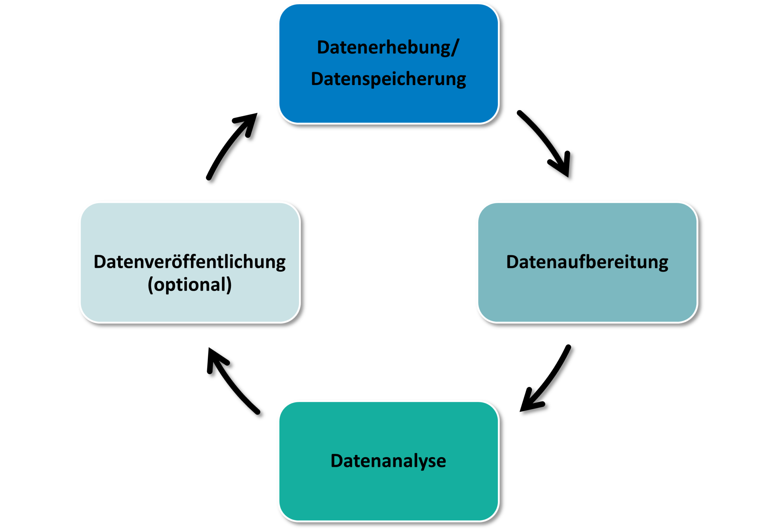 Phasen des Daten-Lebenszyklus