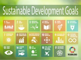 Sustainable Development Goals