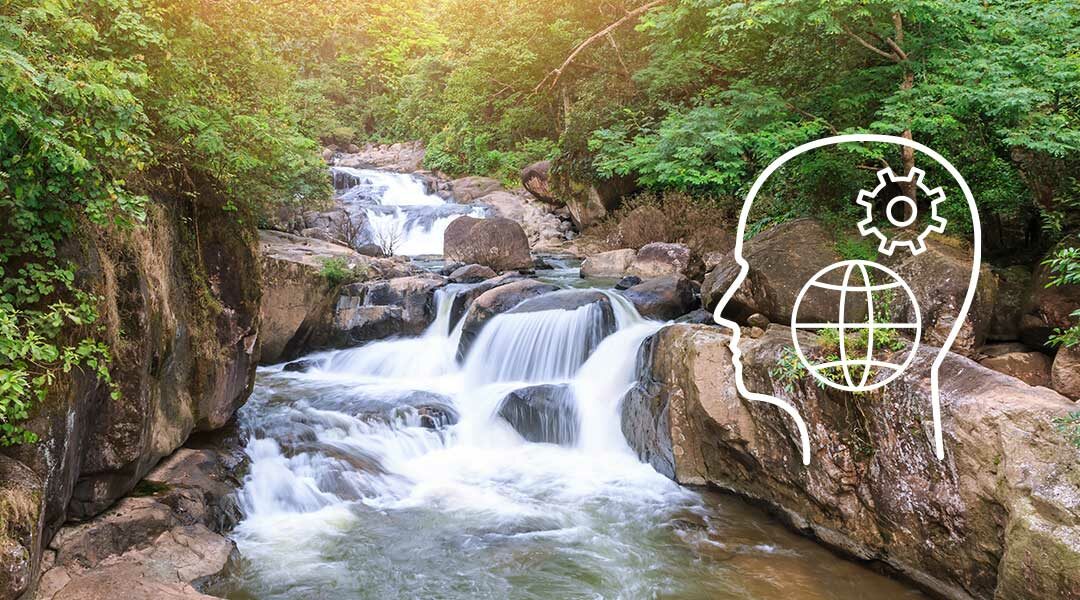 Selbstlernangebot Nachhaltigkeit © Wiroj Sidhisoradej – Freepik.com Selbstlernangebot Nachhaltigkeit