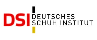 Logo des DSI